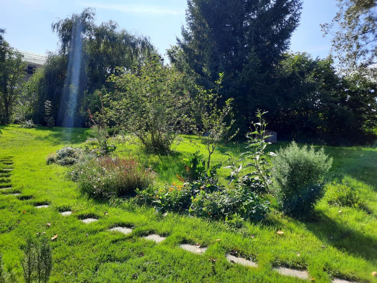 La Yourte Au Fonds Du Jardin Xhoris エクステリア 写真